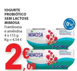 Oferta de Mimosa - Iogurte Probiotico Sem Lactose por 2,09€ em E.Leclerc