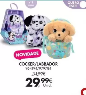 Oferta de Cocker/labrador por 29,99€ em Pingo Doce