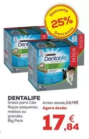 Oferta de Purina - Dentalife Snack Para Cao Racas Pequenas por 17,84€ em Kiwoko