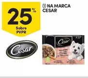 Oferta de Na Marcaem Continente Bom dia