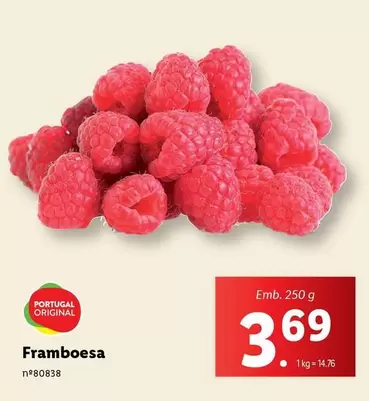 Oferta de Portugal - Framboesa por 3,69€ em Lidl