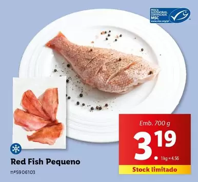 Oferta de Red Fish Pequeno por 3,19€ em Lidl