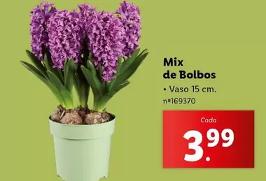 Oferta de Mix -  De Bolbos por 3,99€ em Lidl