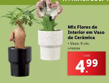 Oferta de Mix -  Flores De Interior Em Vaso De Ceramica por 4,99€ em Lidl