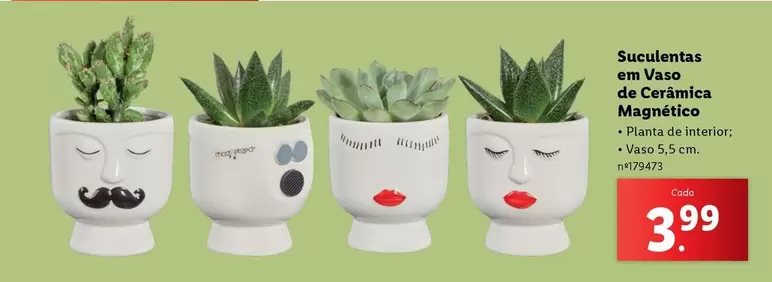 Oferta de Planta - Suculentas En Vaso De Caracac por 3,99€ em Lidl