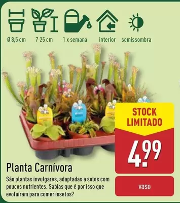 Oferta de Planta Carnivora por 4,99€ em Aldi