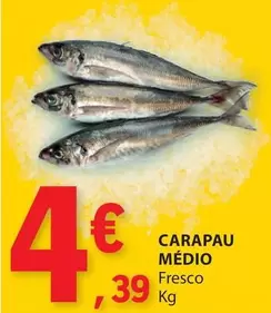 Oferta de Carapau Medio por 4,39€ em E.Leclerc