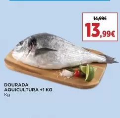 Oferta de Dourada Aquicultura +1 por 13,99€ em superCOR