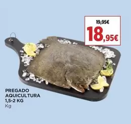 Oferta de Pregado Aquicultura por 18,95€ em superCOR