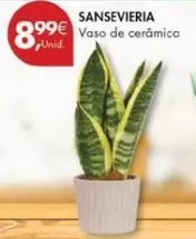 Oferta de Vaso De Cerámica por 8,99€ em Pingo Doce