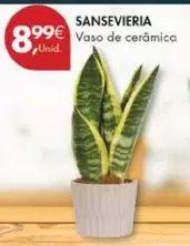 Oferta de Vaso De Cerámica por 8,99€ em Pingo Doce