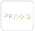 Logo Grupo Praxis